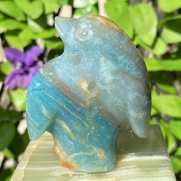 Caribbean Calcite Penguin - Picture 5 of 15